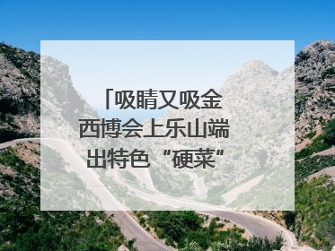 吸睛又吸金 西博会上乐山端出特色“硬菜”｜西博视界